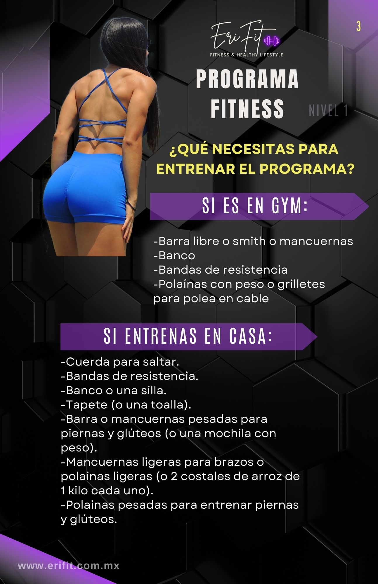 Programa fitness